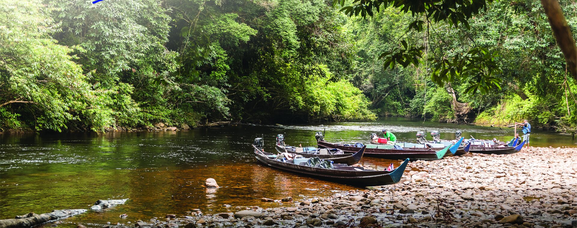 Taman Negara