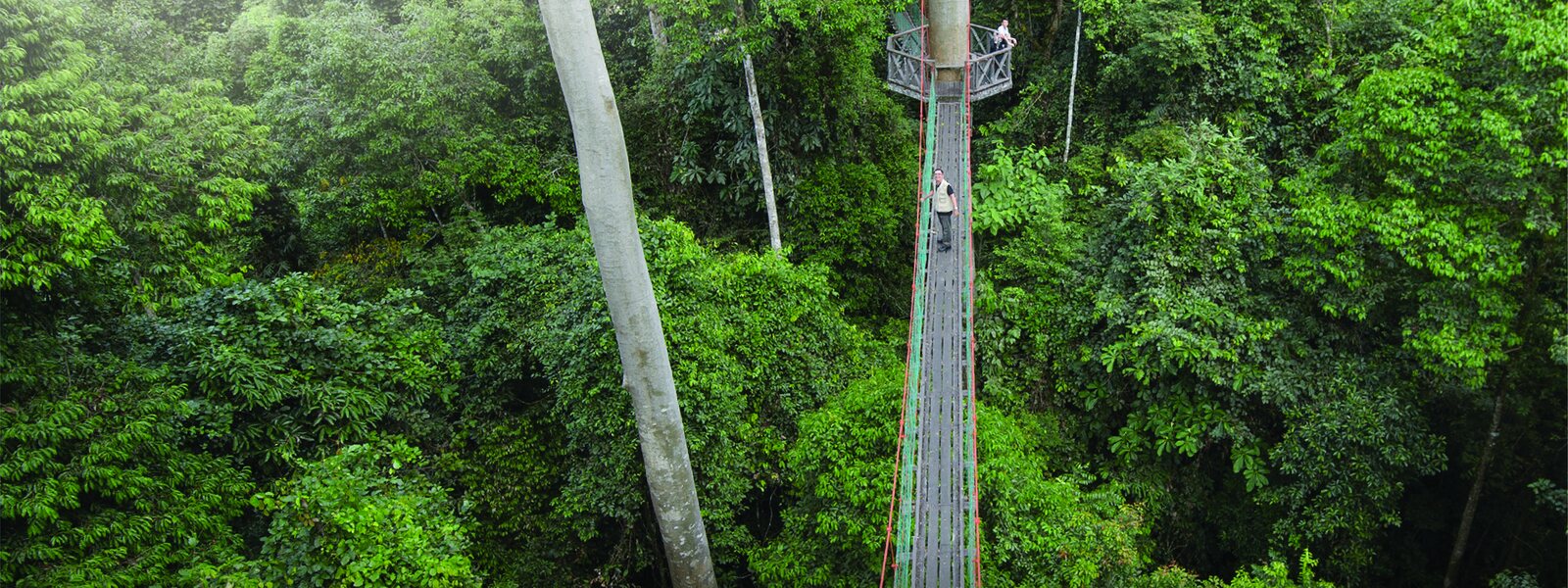 Wonders of Borneo